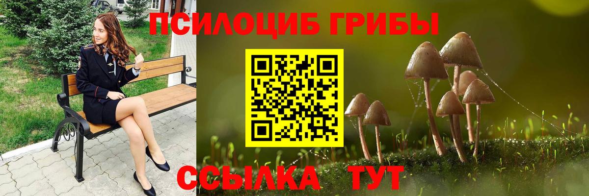 Кемерово  Псилоцибиновые грибы Magic Shrooms  Галлюциногенные грибы мухоморы  Вход с VPN 
